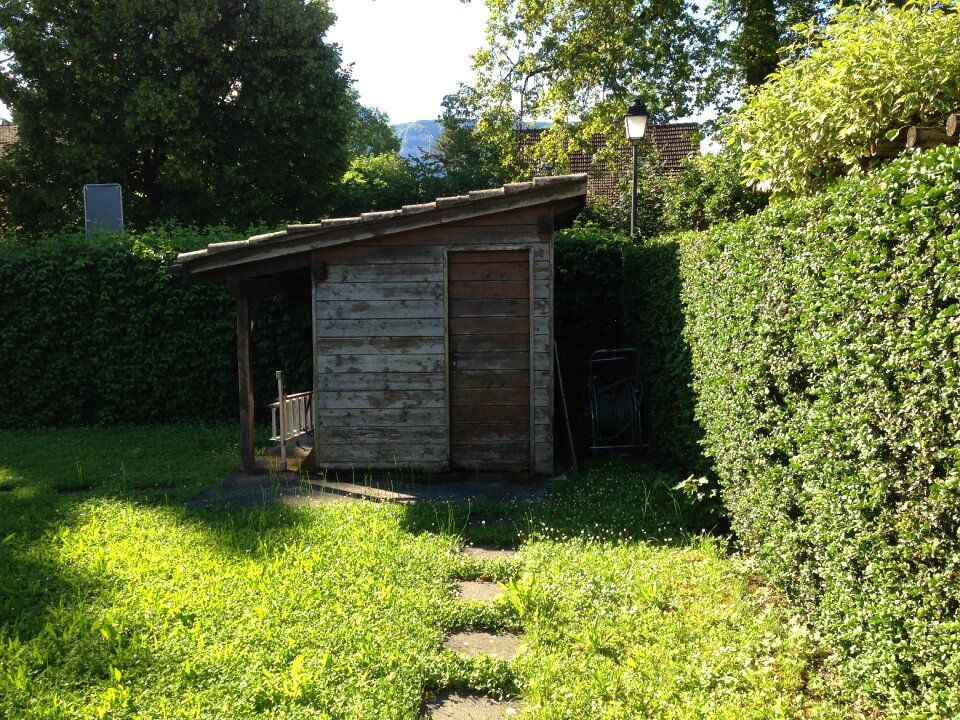 Cabin backyard field