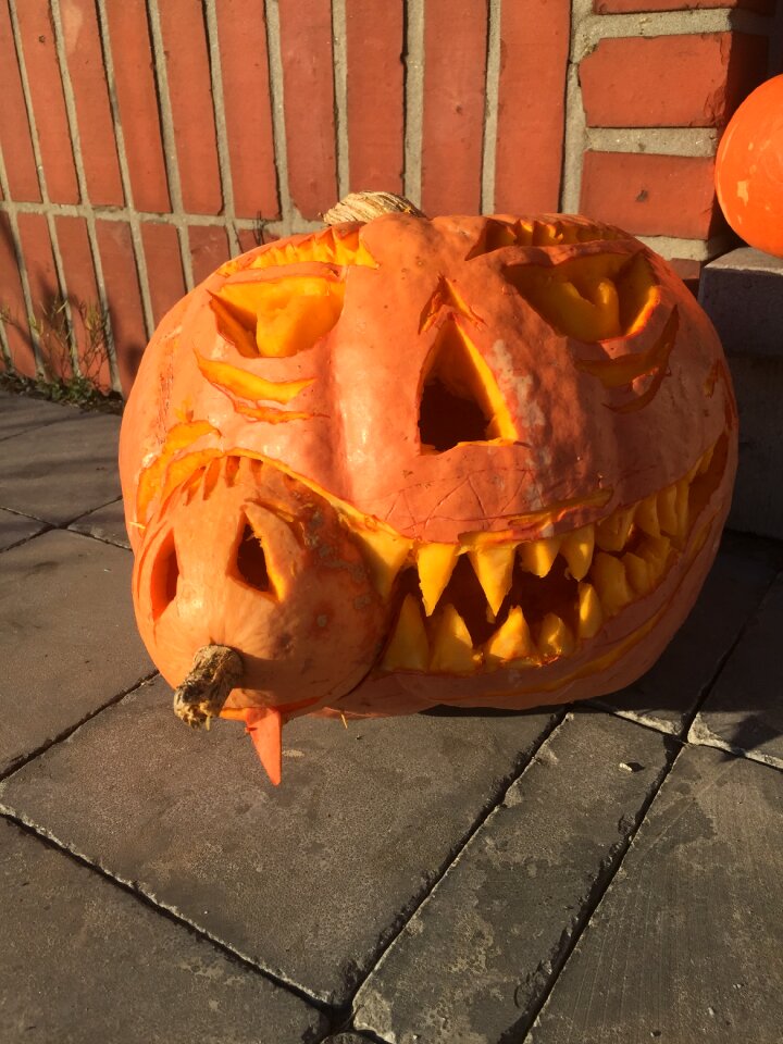 Pumpkins broom still life