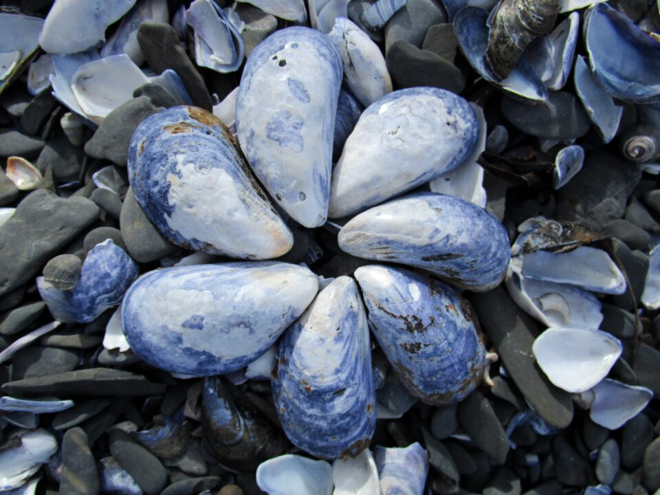 Beach marine water