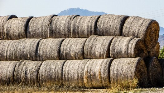 Agriculture field farm photo