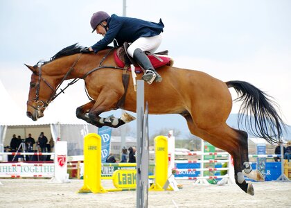 Leaping competition in air photo