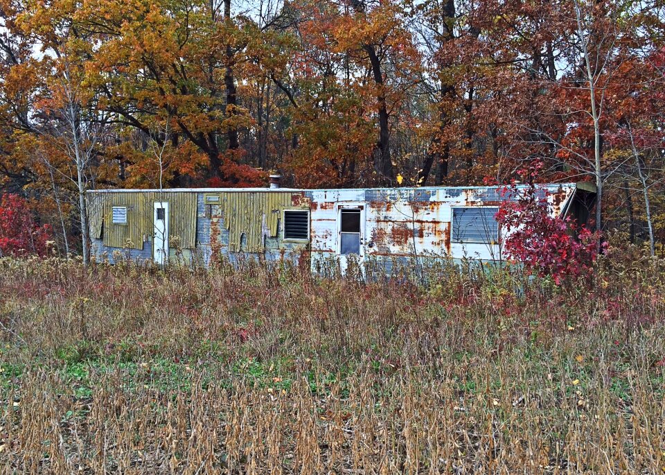 Woods brown mobile