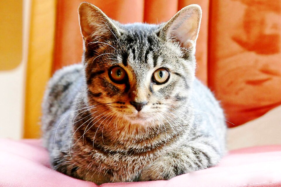 Cute eyes feel good