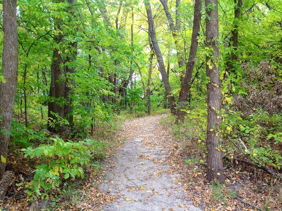 Season outdoor wood photo