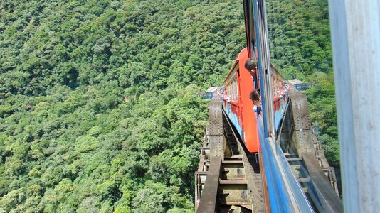 Rail nature railway