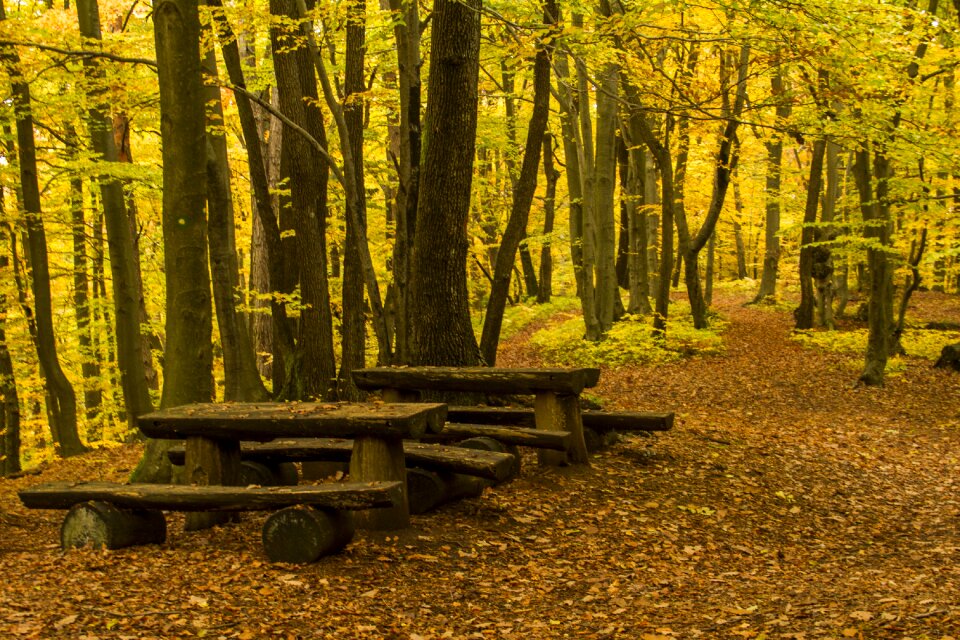 Outdoor hill landscape