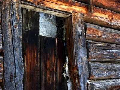 Door old wooden photo