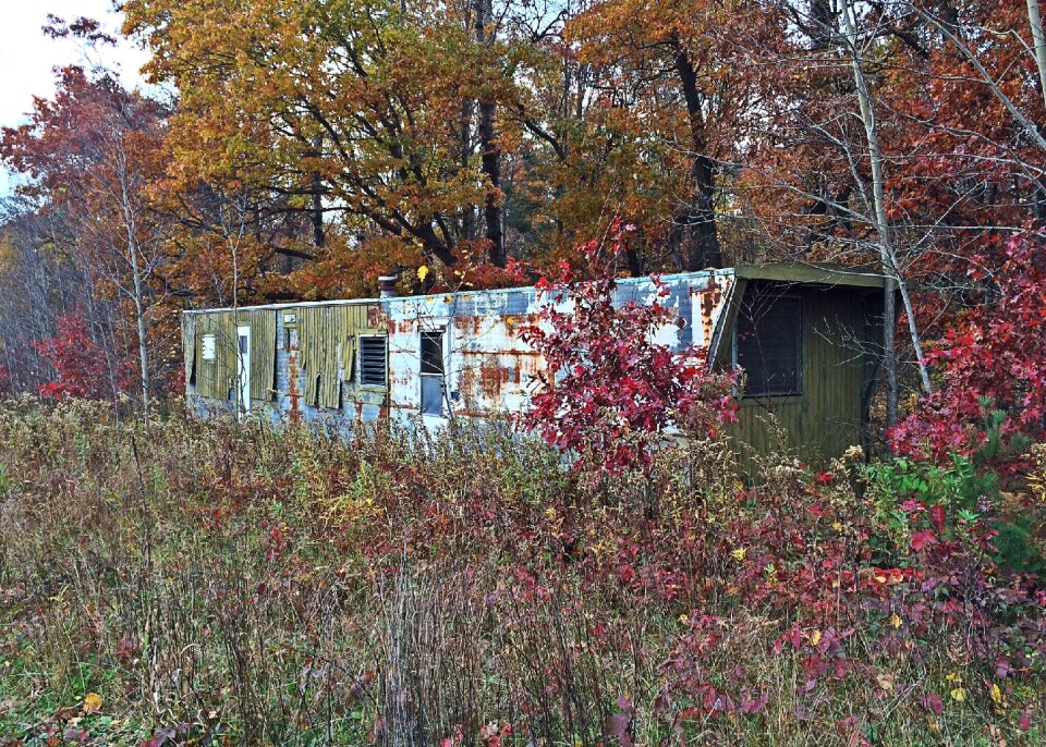 Abandoned old woods photo