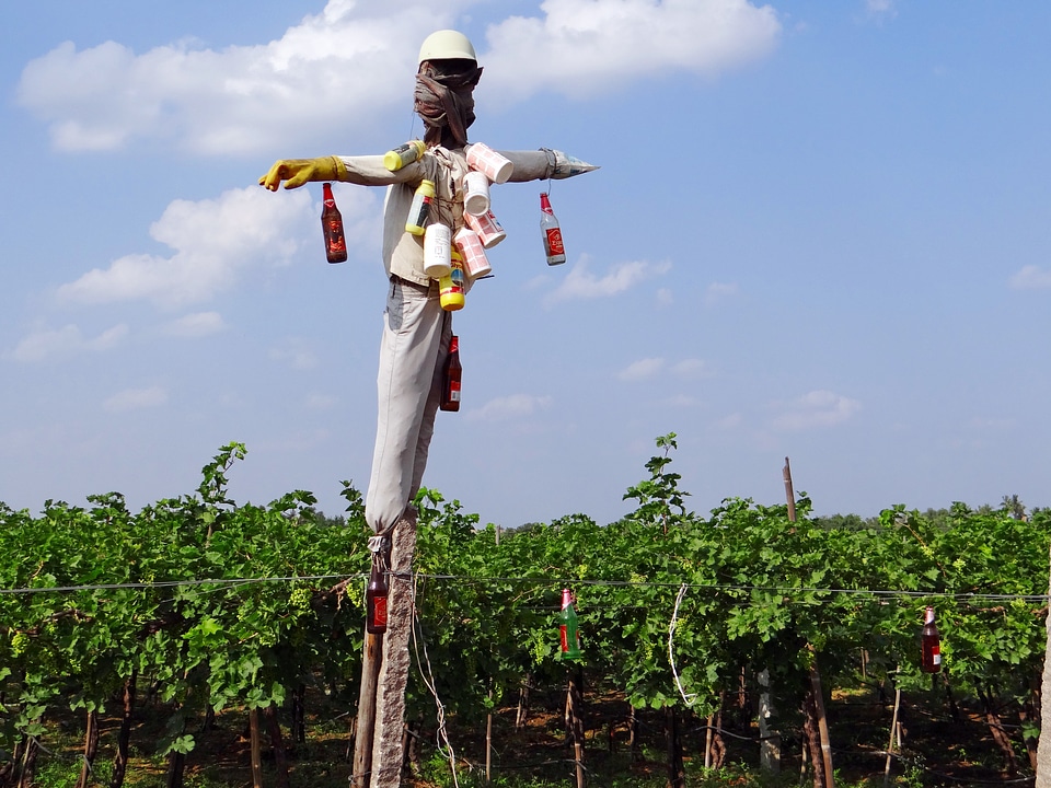 Agriculture farming karnataka