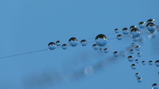 Dew-drop macro nature