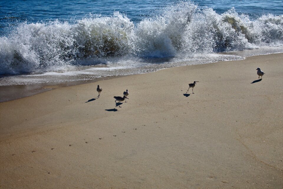 Water ocean nature