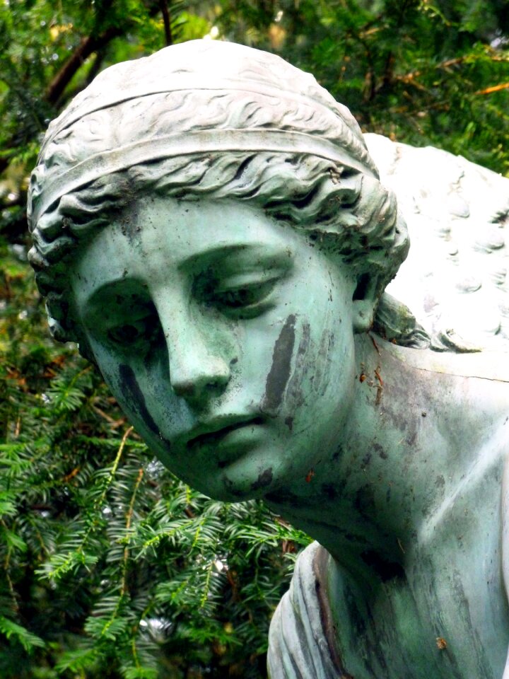 Face looking tenderly female