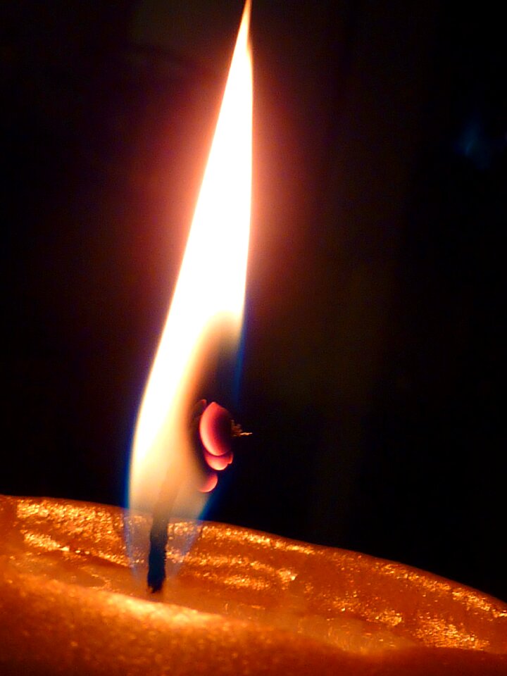 Autumn flame light
