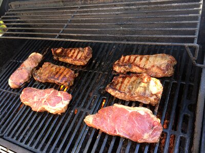 Barbecue grill cook
