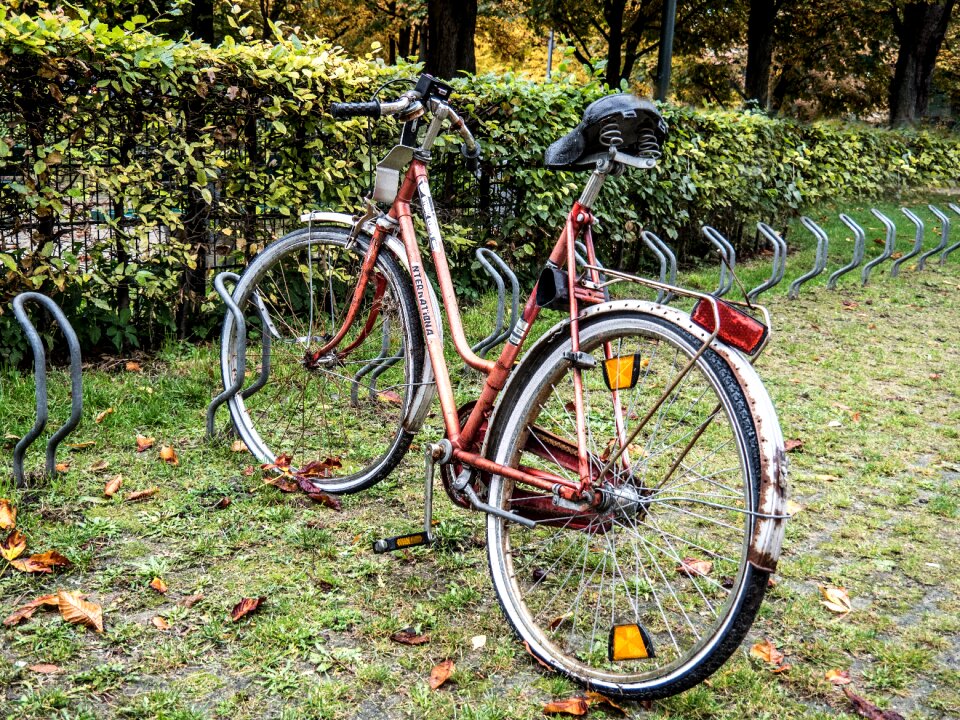 Old vintage loneliness