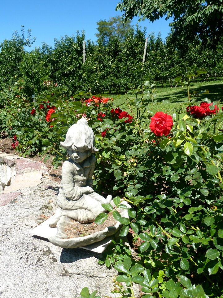 Garden stone figure bed of roses