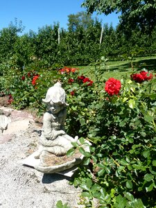 Garden stone figure bed of roses