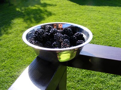 Fruits garden vitamins