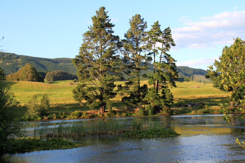 Dere nature new zealand