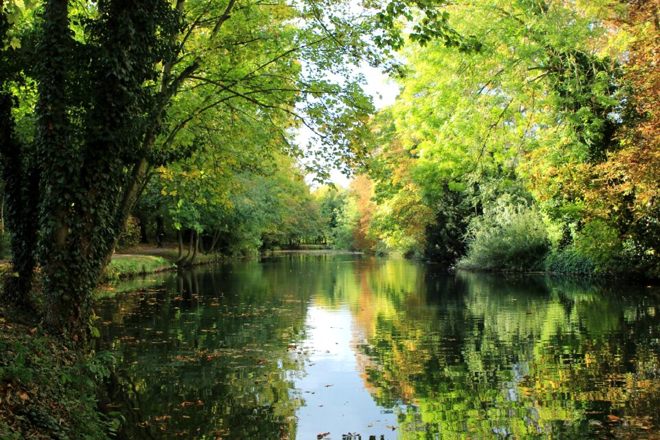 Autumn landscape park