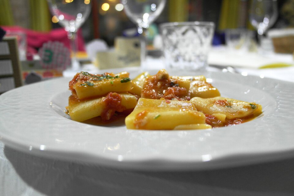 Dinner paccheri gravy