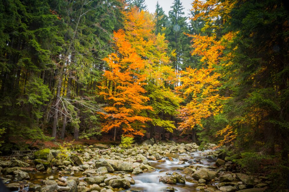 Nature river colors