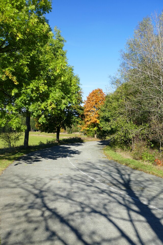 Away landscape nature photo