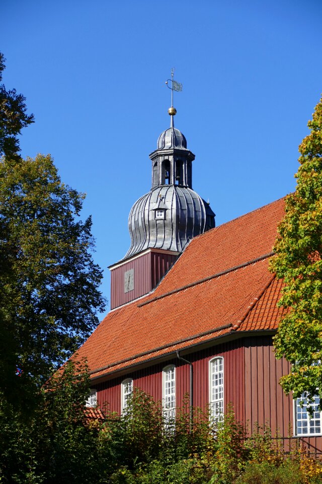 Onion altenau weathervane photo