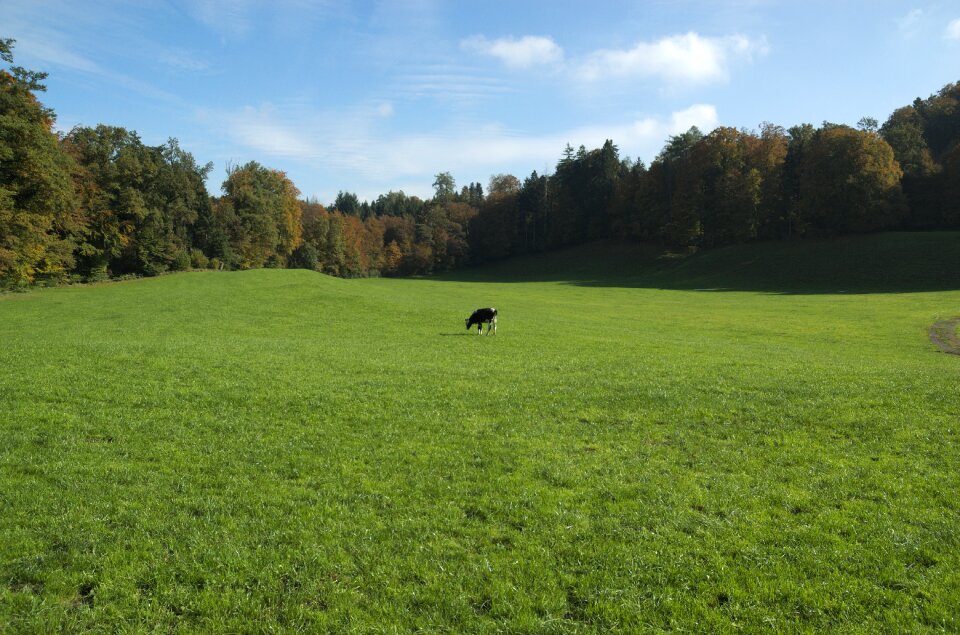 Graze nature agriculture
