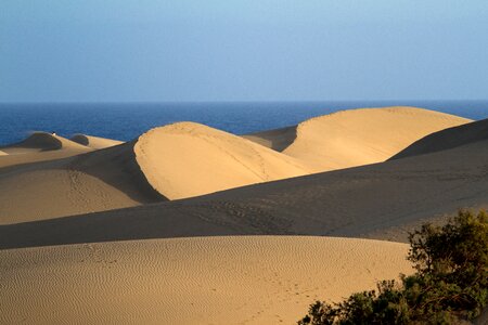 Gran canaria beach canary islands photo