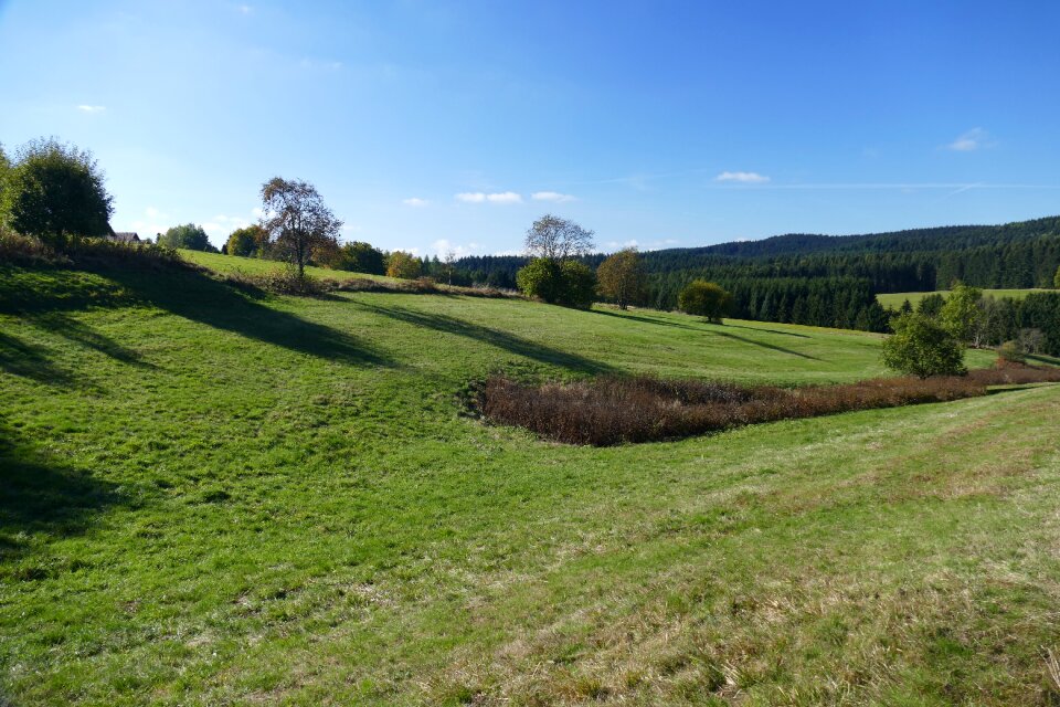 Meadow nature autumn photo