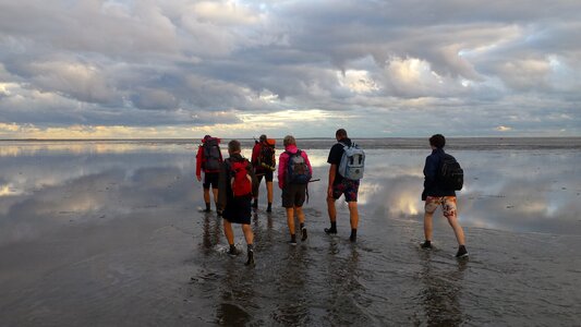 Enjoy wadden sea wad
