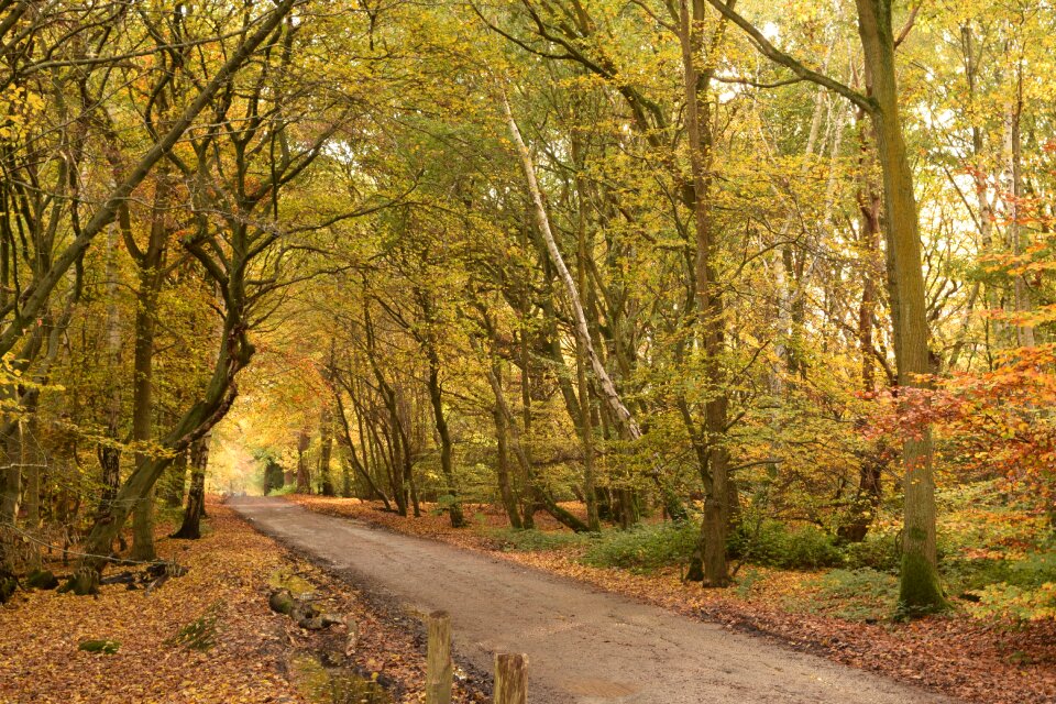 Season nature october