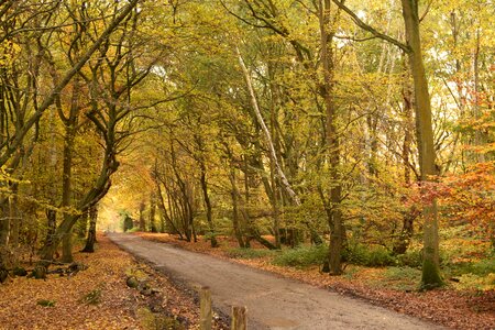 Season nature october