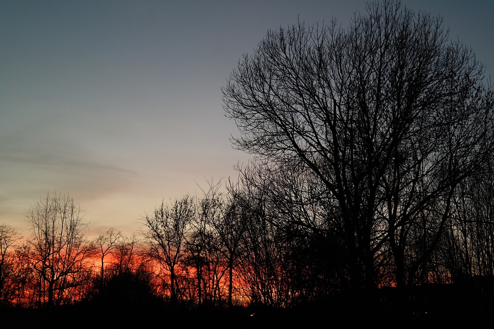 Evening sky clouds sky