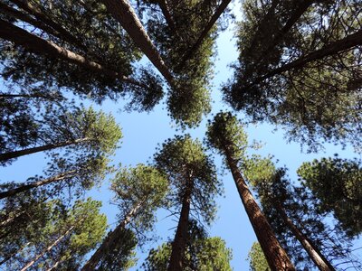 Yosemitenp yosemite sky