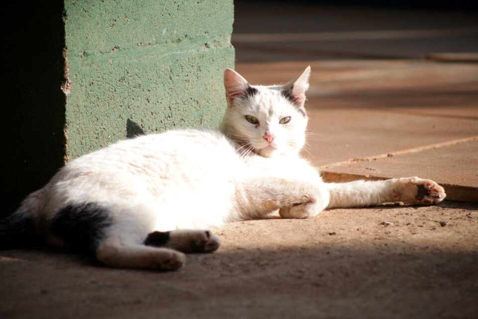 Sun placing outdoors