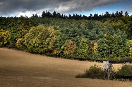 Lookout forest hdr