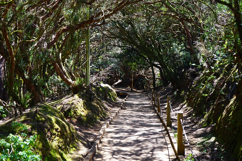 Tenerife anaga landschaftspark parque rural de anaga