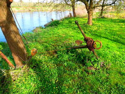 Anchor maritime nature photo