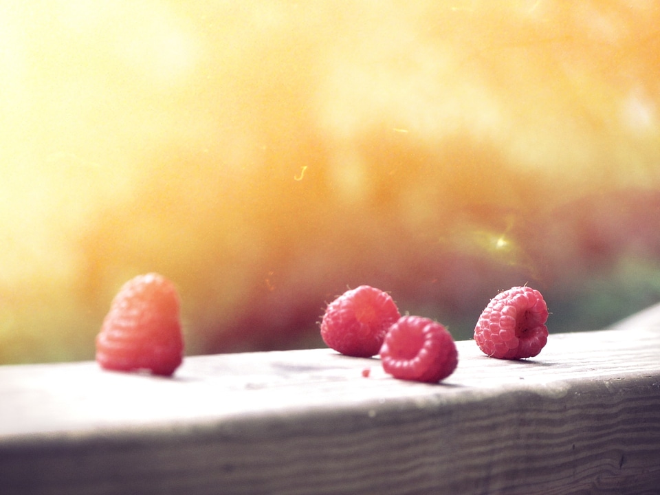 Raspberry fruit fresh