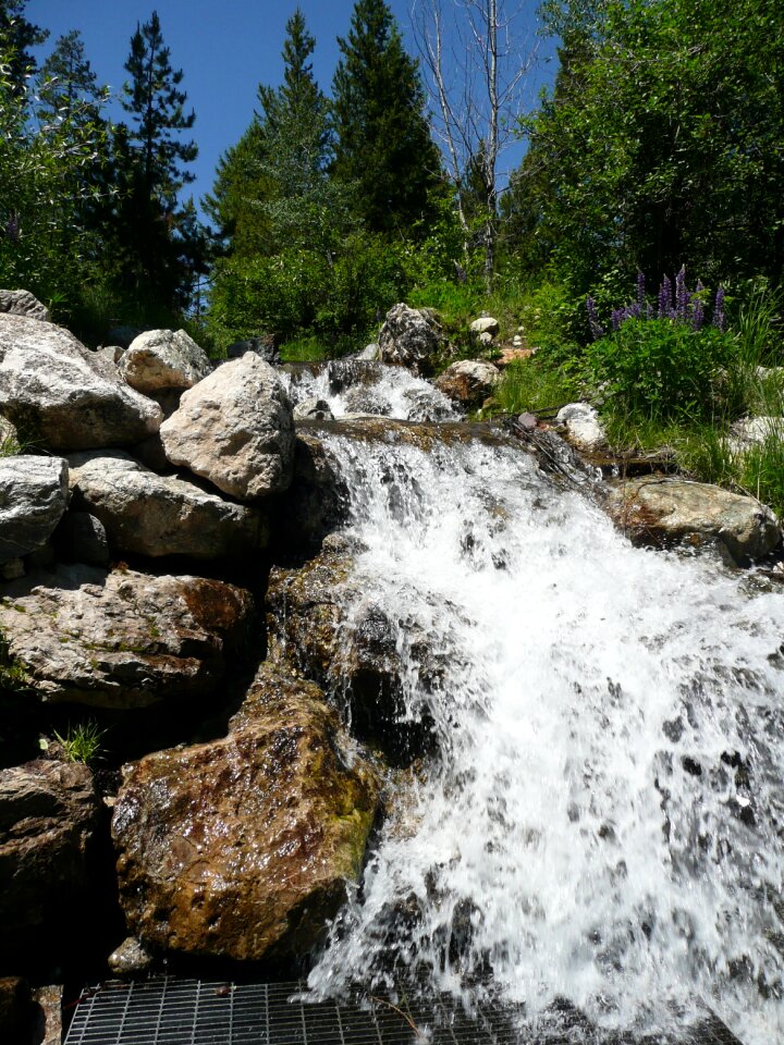 Forest waterfall rockefeller preserve grand teton