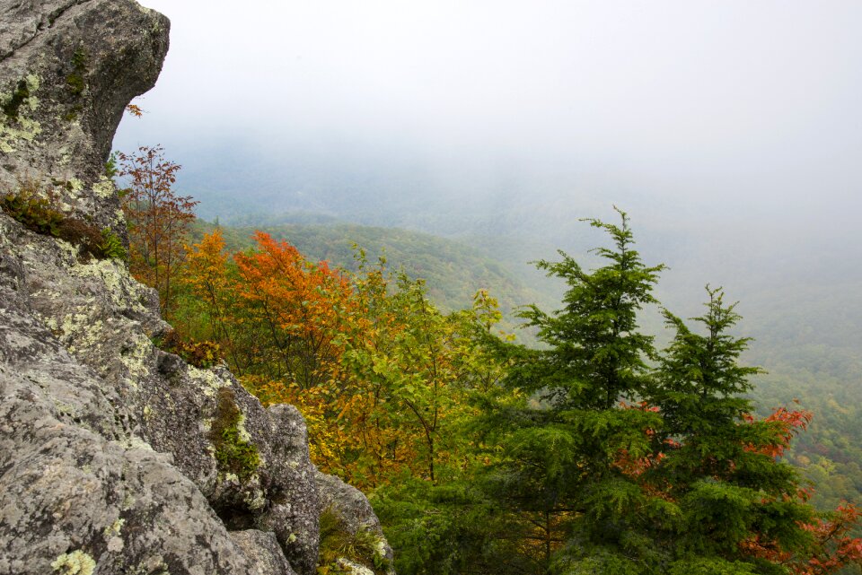Nature autumn season