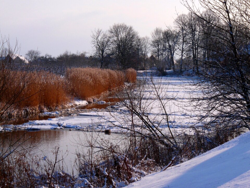 Ice ice floes nature