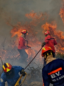 Fire flames service photo