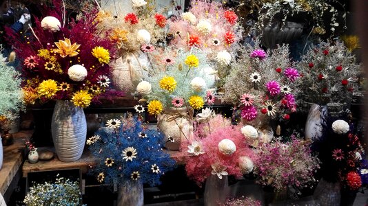 Jiangnan dry bouquet photo