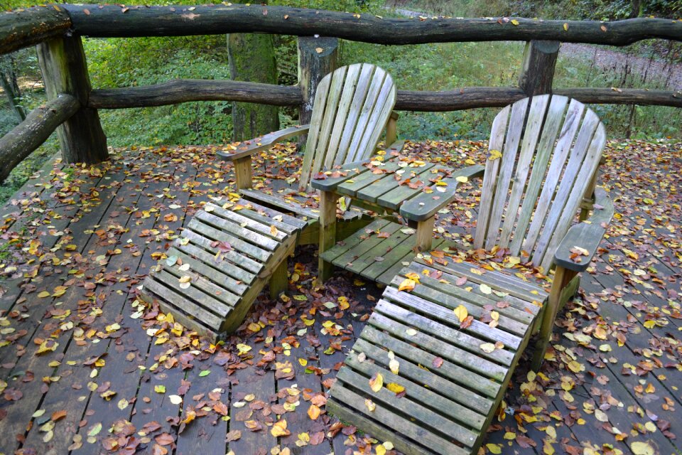 Autumn leaves autumn mood
