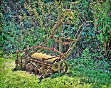 Summer lawn outdoor