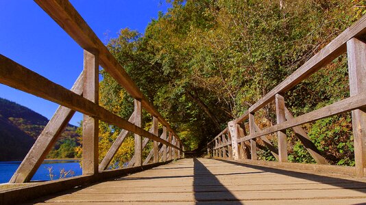 Bridge heimbach autumn