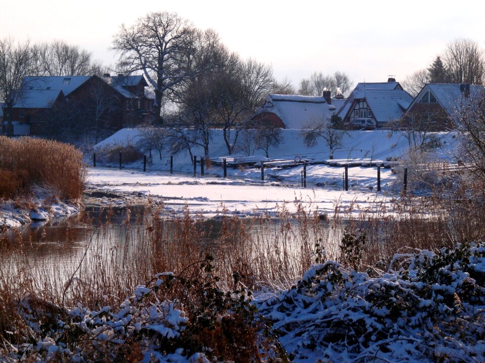 Ice ice floes nature